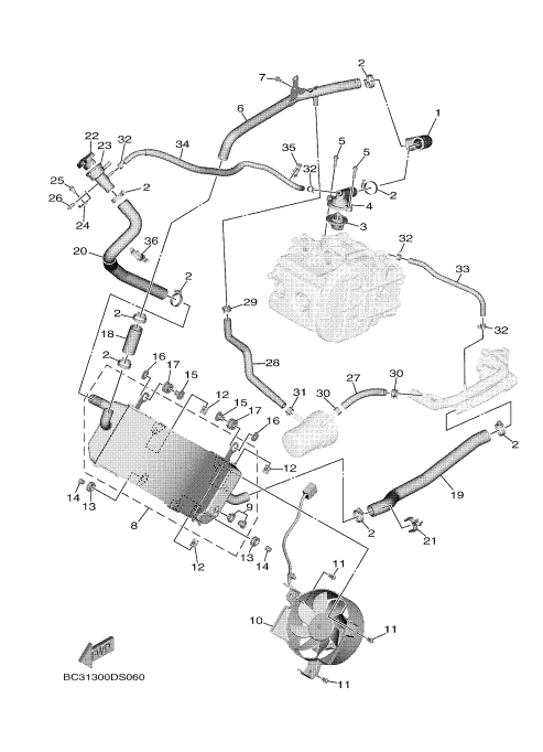 6 RADIATOR & HOSE