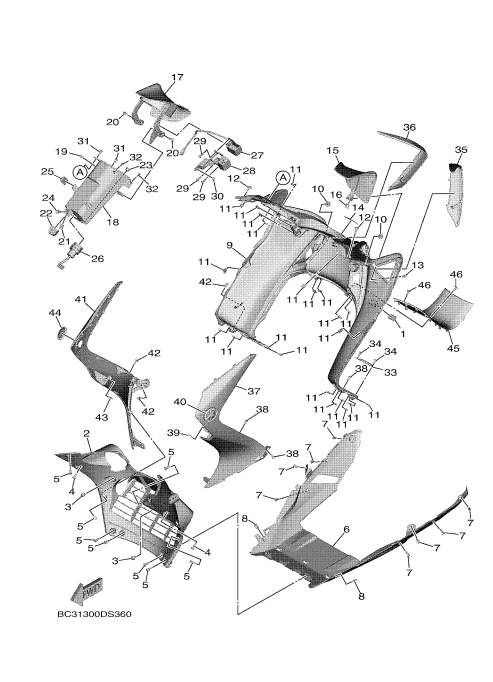 36 LEG SHIELD