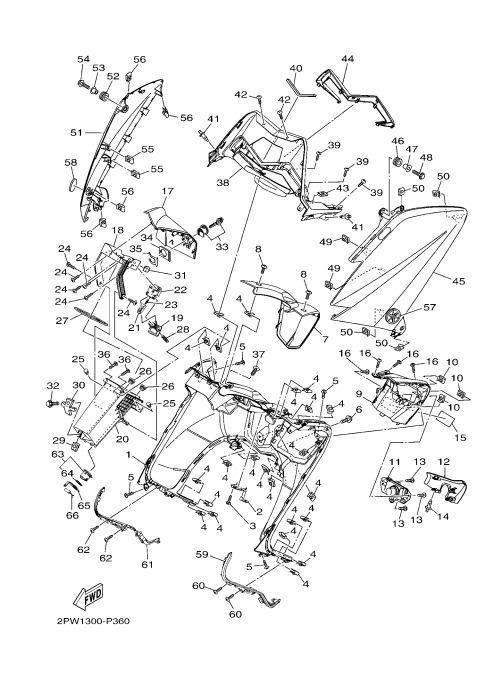 36 LEG SHIELD