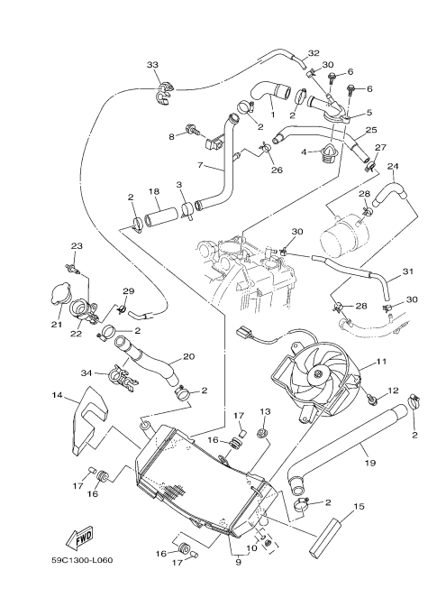 6 RADIATOR & HOSE